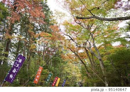 赤山禅院 紅葉 赤山禅院 紅葉 95140647