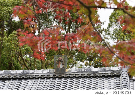 赤山禅院　鬼門除けの猿（拝殿） 95140753