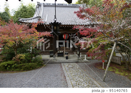 赤山禅院　寒桜と紅葉 95140765