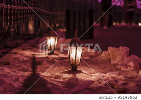 光のさんぽみち　ネスタイルミナ 95143962