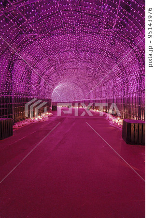 光のさんぽみち　ネスタイルミナ 95143976