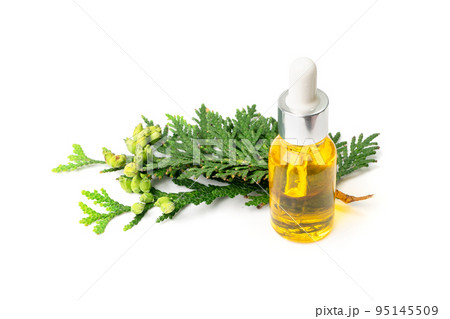 Cypress Oil Isolated 95145509