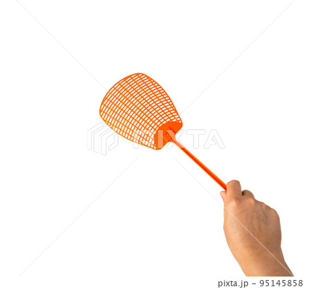 Fly Swatter, Flyswatter, Bug Swatter Isolated 95145858