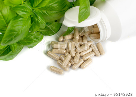 Holy Basil Capsules, Basilic Pills and Fresh Leaves, Natural Medical Diet Supplement Holy Basil Capsules, Basilic Pills and Fresh Leaves, Natural Medical Diet Supplement 95145928