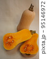 ピーナッツかぼちゃ 95146972