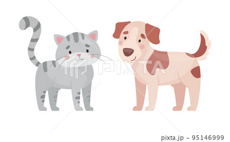 Cute cat and dog. Vector illustration in flat style, isolated on white background. Gray striped kitten and spotted puppy. cartoon kids characters. 95146999