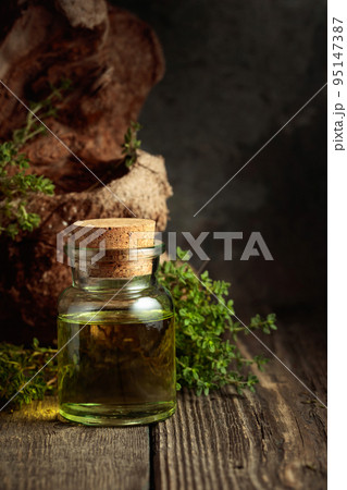 Bottle of thyme essential oil with fresh thyme twigs. Bottle of thyme essential oil with fresh thyme twigs. 95147387