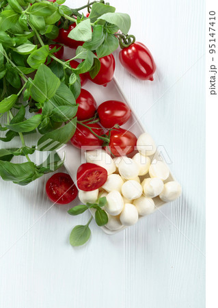Mozzarella cheese with basil and tomatoes. Mozzarella cheese with basil and tomatoes. 95147410