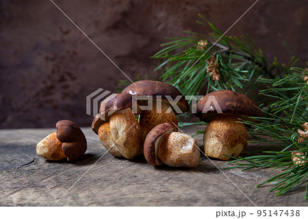 A lot of Imleria Badia or Boletus badius mushrooms commonly known as the bay bolete on vintage wooden background.. A lot of Imleria Badia or Boletus badius mushrooms commonly known as the bay bolete on vintage wooden background.. 95147438