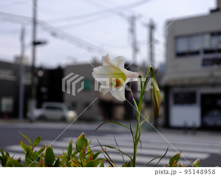 木更津の風景 95148958