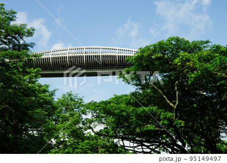 緑豊かな先進都市シンガポールの車窓風景 緑豊かな先進都市シンガポールの車窓風景 95149497