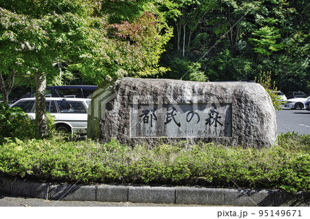 東京都 檜原都民の森 標高1,000メートルから1,500メートルの山岳公園 東京都 檜原都民の森 標高1,000メートルから1,500メートルの山岳公園 95149671