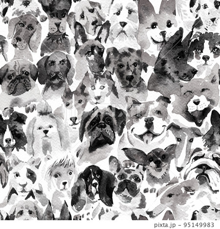 モノクロ犬 qqbd0475.jpg