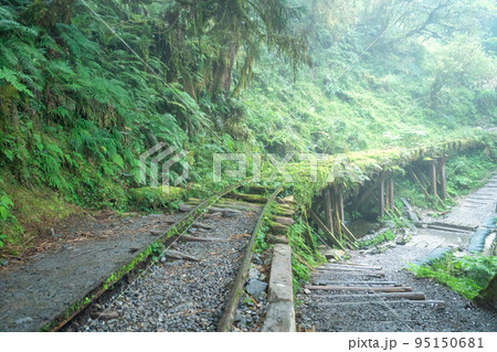 太平山 台湾 トレイル 95150681