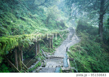 太平山 台湾 トレイル 95150683