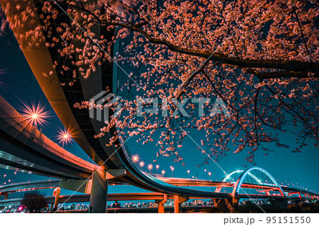 五色桜大橋と江北ジャンクションの桜の夜景 五色桜大橋と江北ジャンクションの桜の夜景 95151550