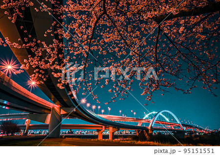 五色桜大橋と江北ジャンクションの桜の夜景 五色桜大橋と江北ジャンクションの桜の夜景 95151551