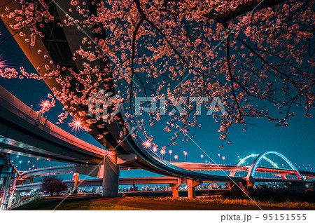 五色桜大橋と江北ジャンクションの桜の夜景 95151555