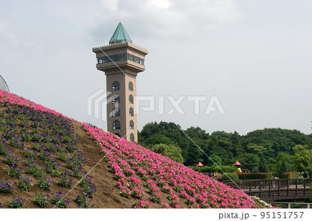 5月のグリーンタワー 5月のグリーンタワー 95151757