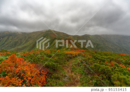 ガスに煙る紅葉の竜門山 ガスに煙る紅葉の竜門山 95153415