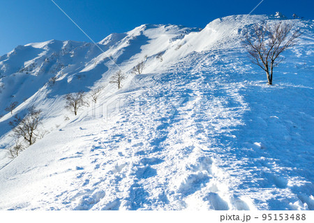 伯耆大山六合目から見上げる弥山と剣ヶ峰 95153488