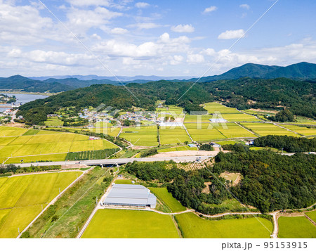 秋 稲 空 95153915