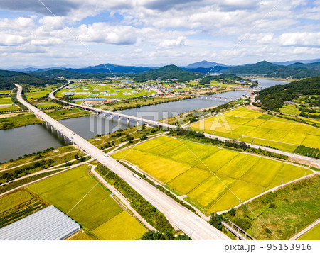 秋 稲 空 95153916