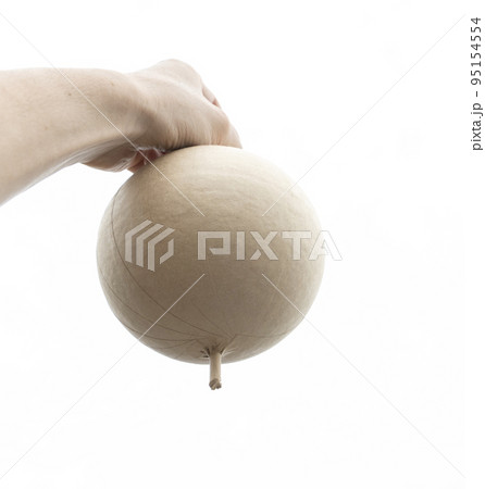 花火玉を持つ手。花火大会をやろう!! 花火玉を持つ手。花火大会をやろう!! 95154554