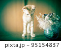 可愛い茶トラの子猫の日常風景 95154837