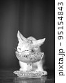 可愛い茶トラの子猫の日常風景 95154843
