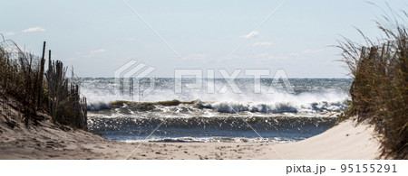 Panaromic view looking through the sand dunes of large ocean waves crashing on the beach 95155291