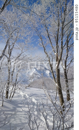 バックカントリースキー 95155480