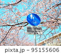 桜と標識 95155606