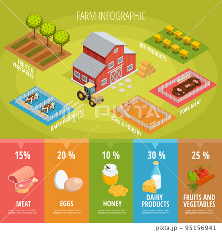Farm Food Isometric Infographics 95156941
