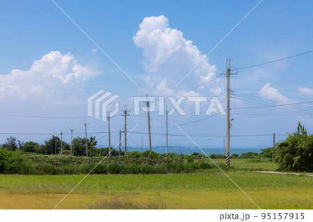 Sunny day with green grass meadow and the blue sky Sunny day with green grass meadow and the blue sky 95157915