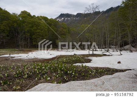 長野市鬼無里 の里に水芭蕉の群生地である奥裾花自然園が有ります。 長野市鬼無里 の里に水芭蕉の群生地である奥裾花自然園が有ります。 95158792