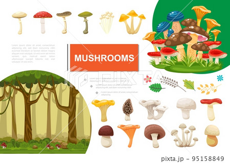 Flat Mushrooms Colorful Composition 95158849