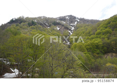 長野市鬼無里 の里に水芭蕉の群生地である奥裾花自然園が有ります。 長野市鬼無里 の里に水芭蕉の群生地である奥裾花自然園が有ります。 95158874