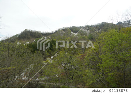 長野市鬼無里 の里に水芭蕉の群生地である奥裾花自然園が有ります。 95158878