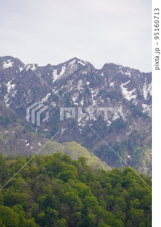 長野市鬼無里 の里に水芭蕉の群生地である奥裾花自然園が有ります。 長野市鬼無里 の里に水芭蕉の群生地である奥裾花自然園が有ります。 95160713