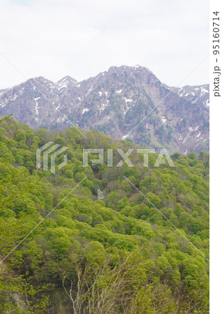 長野市鬼無里 の里に水芭蕉の群生地である奥裾花自然園が有ります。 95160714