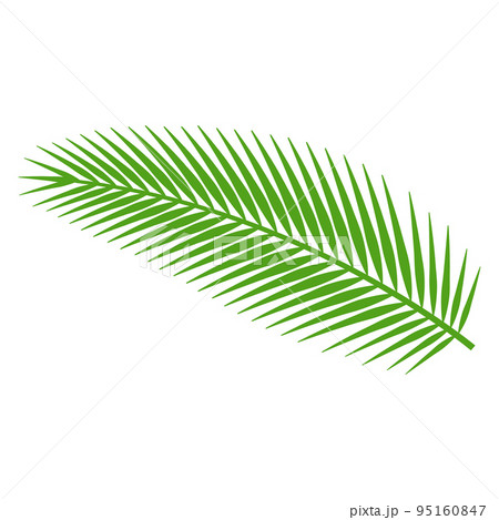 cute of palm leaf on cartoon version 95160847