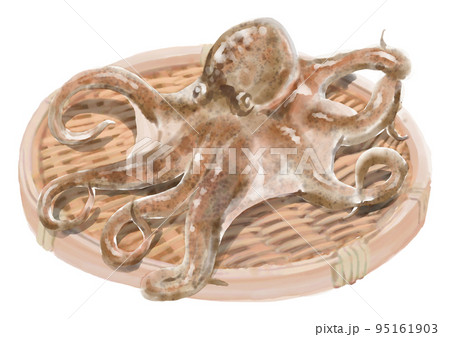 ざる盛りのタコ01 95161903