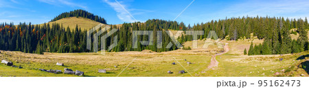 idyllic landscape in the carpathians. green meadows in front of a coniferous grove. forested summit in the distance beneath a blue sky with cirrus clouds 95162473