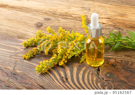 Yellow Flowers of Canada Goldenrod Oil, Rag weed, Ragweed 95162567