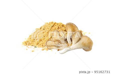 Mushroom Powder Pile Isolated, Powdered Dry Mushrooms 95162731