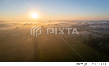 Dramatic Aerial Drone Shot of a beautiful Green and Yellow Agricultural Plantations Bordering with 95163141