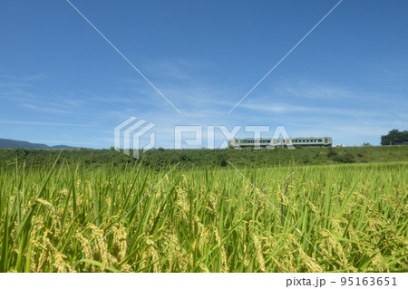 北杜市小淵沢町、青空と収穫間近の稲穂と築堤を行く上り列車 95163651