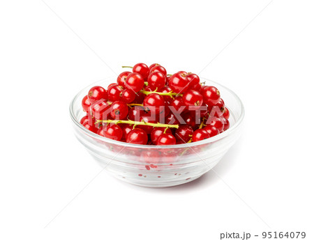 Red Currant Pile Isolated 95164079