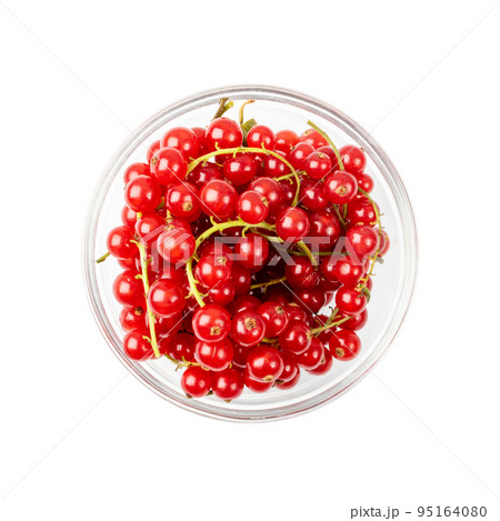 Red Currant Pile Isolated 95164080